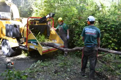 tree services East Point